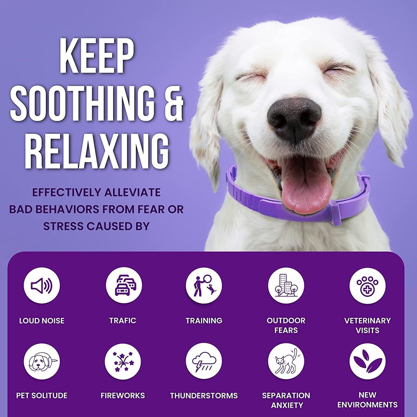 Anxiety-Relief Collar for Cats & Dogs – Natural & Adjustable