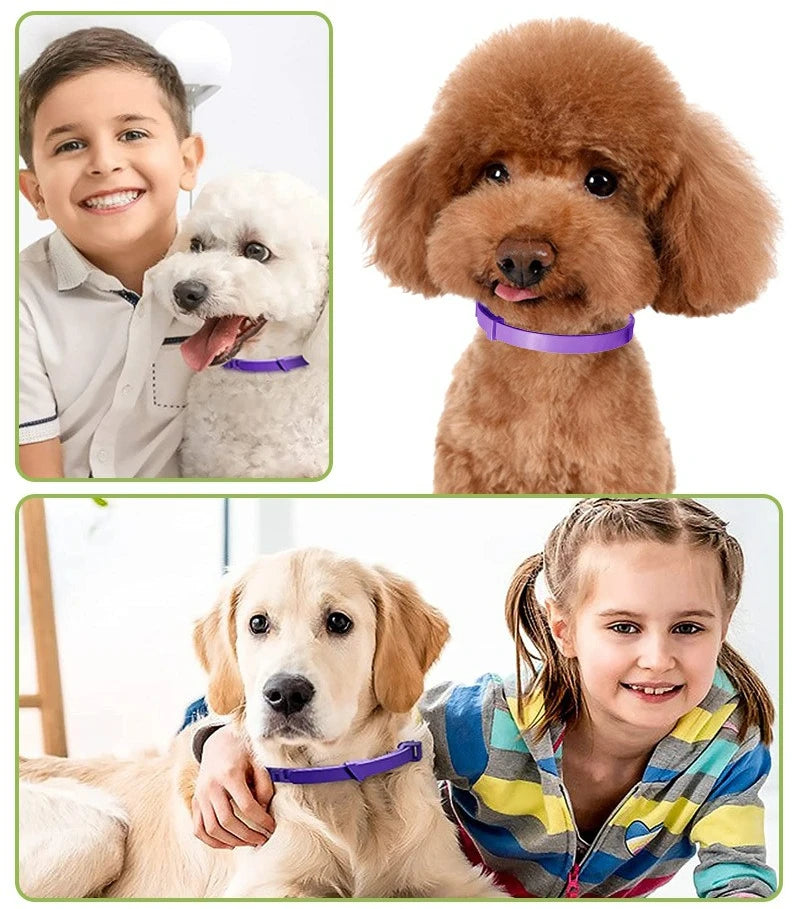 Anxiety-Relief Collar for Cats & Dogs – Natural & Adjustable
