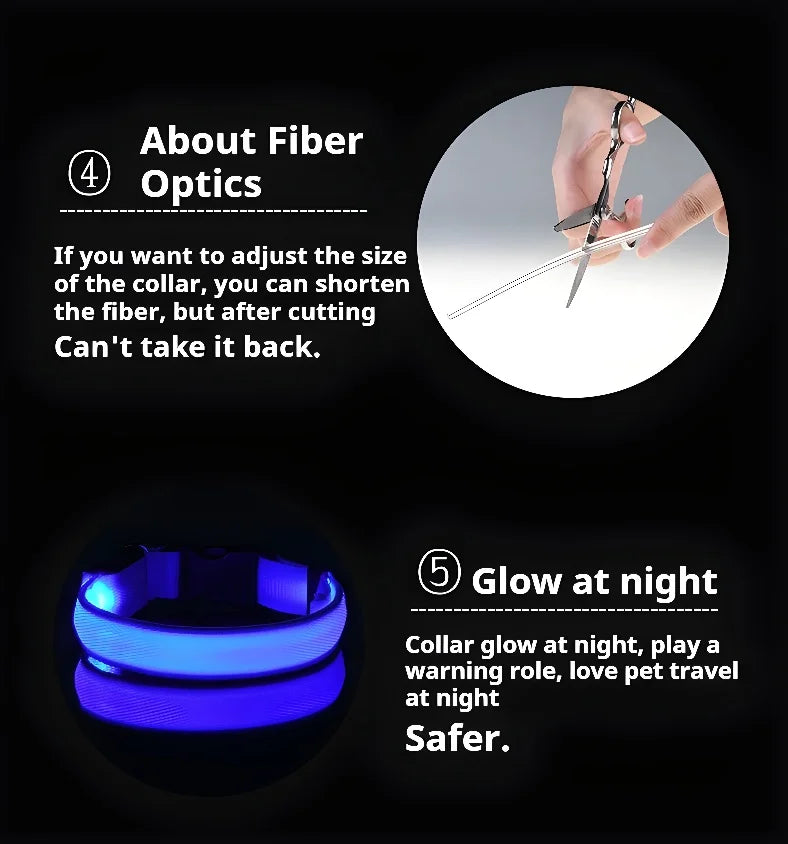 Keep Your Pet Safe at Night