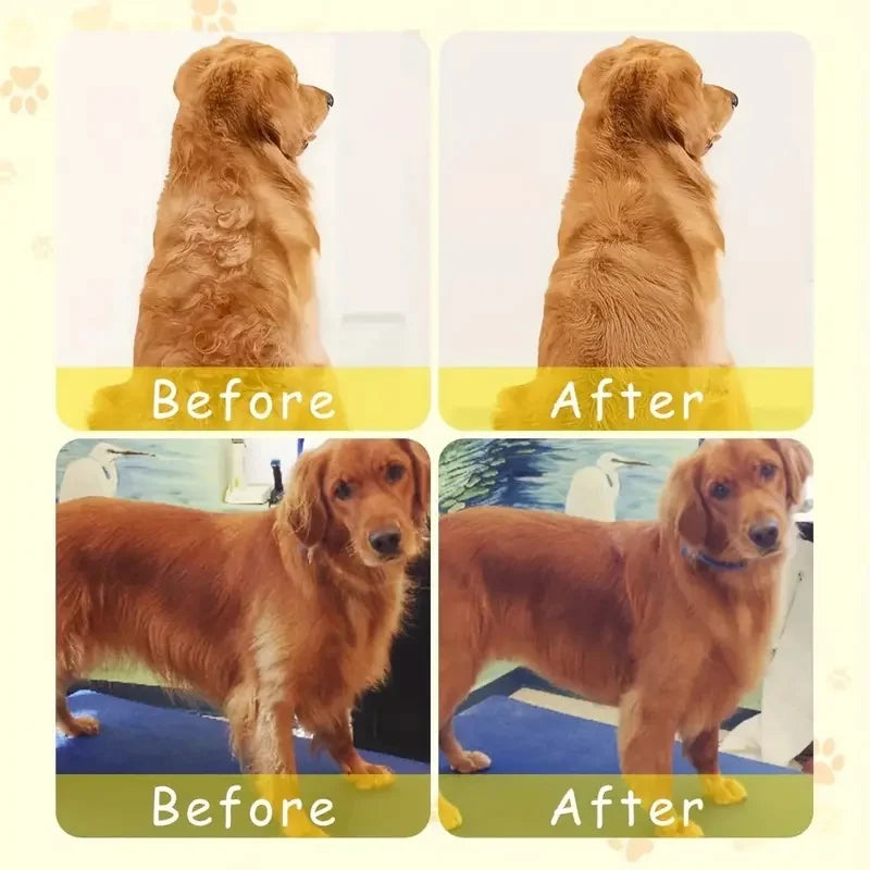 3-in-1 Steamy Pet Brush β Groom, Detangle & Massage!