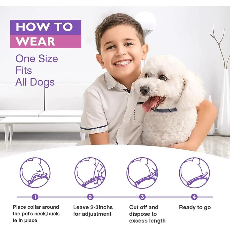 Anxiety-Relief Collar for Cats & Dogs – Natural & Adjustable