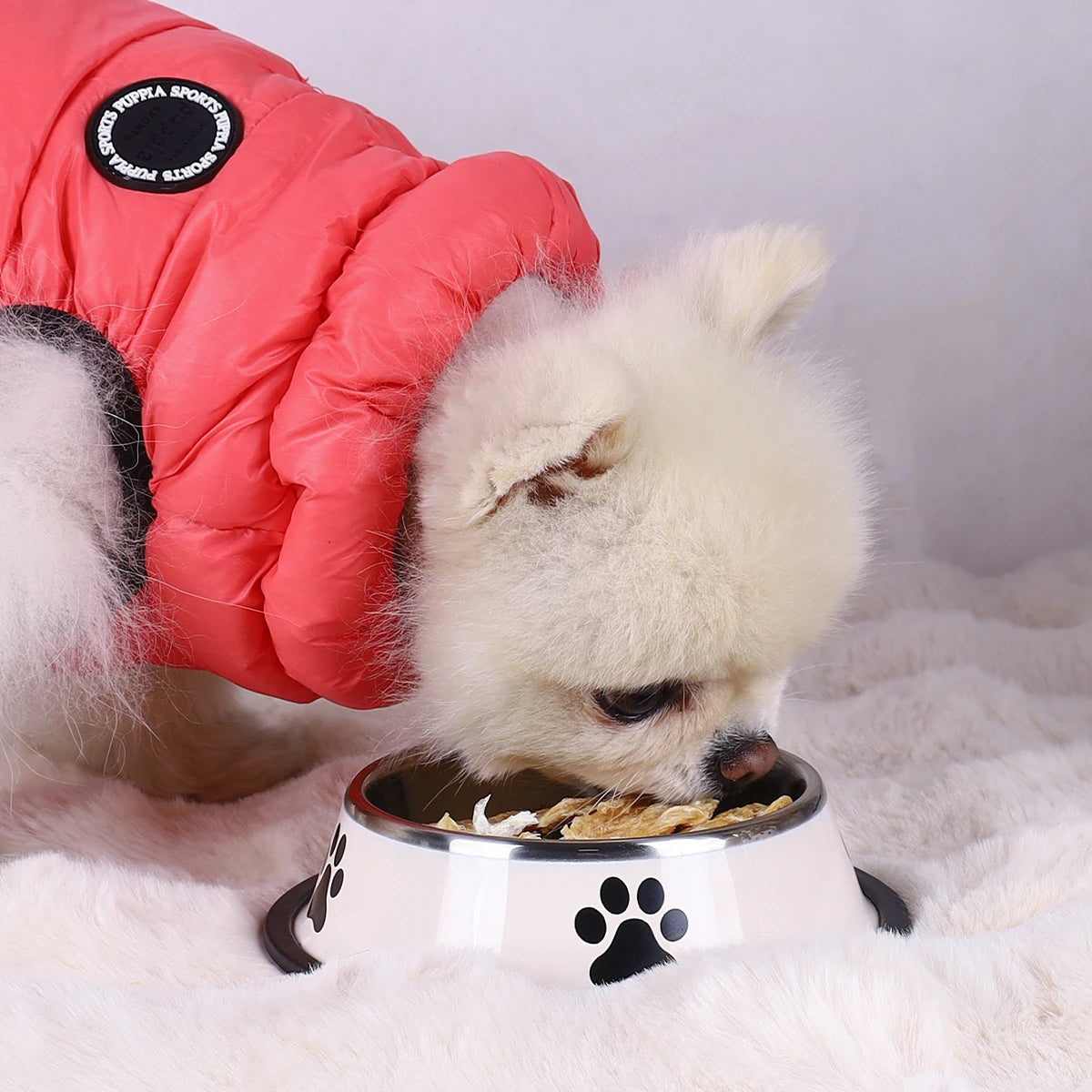 Durable Stainless Steel Pet Bowl β Anti-Fall & Easy to Clean