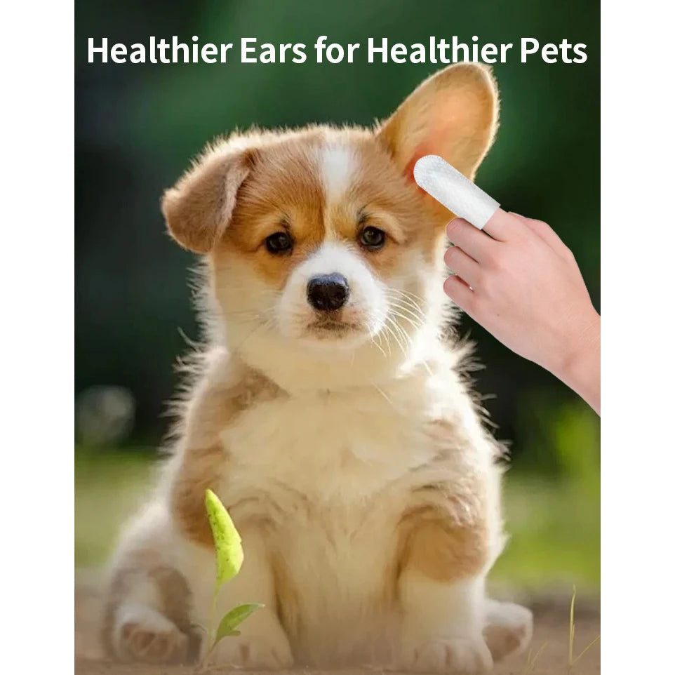 Pet Ear Cleaning Wipes β Gentle & Effective Care!