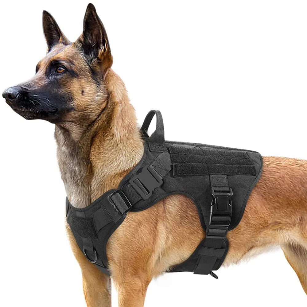 The Perfect Fit for Your German Shepherd or Malinois – Harness Set with Molle Pouches!