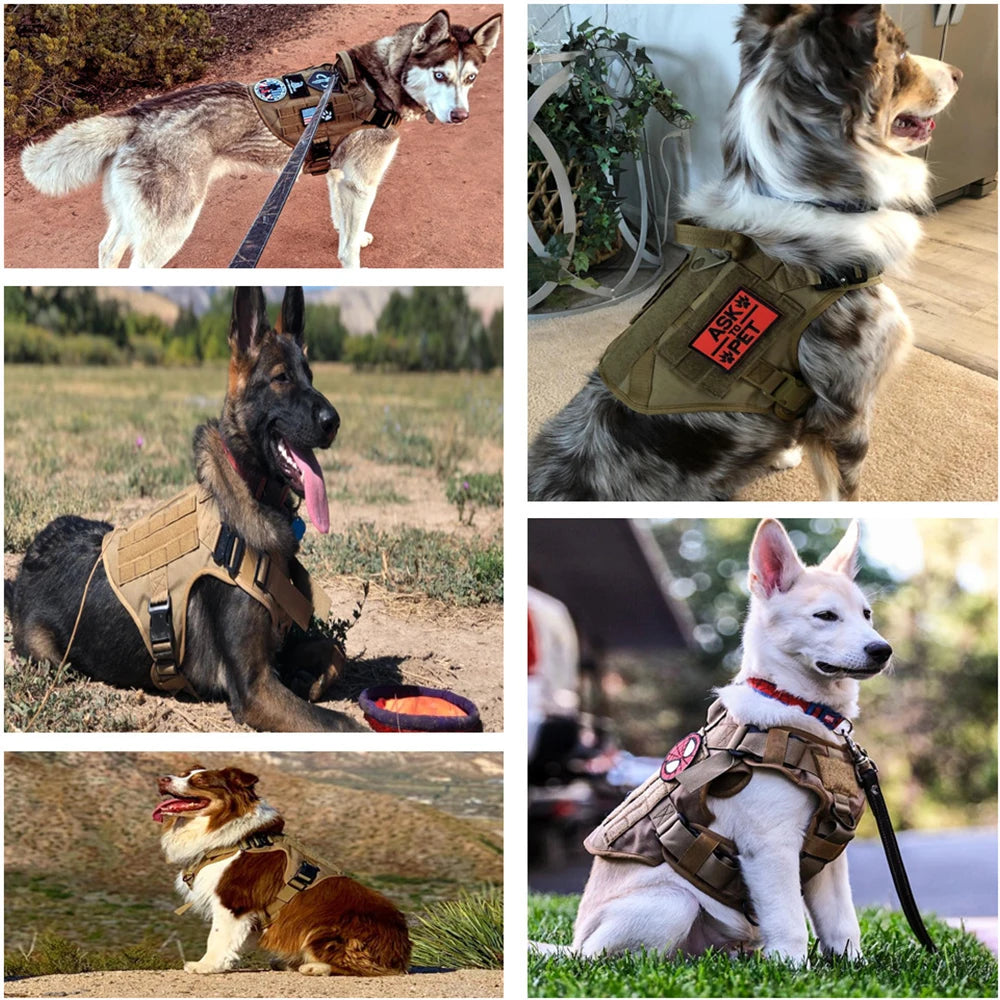 The Perfect Fit for Your German Shepherd or Malinois – Harness Set with Molle Pouches!