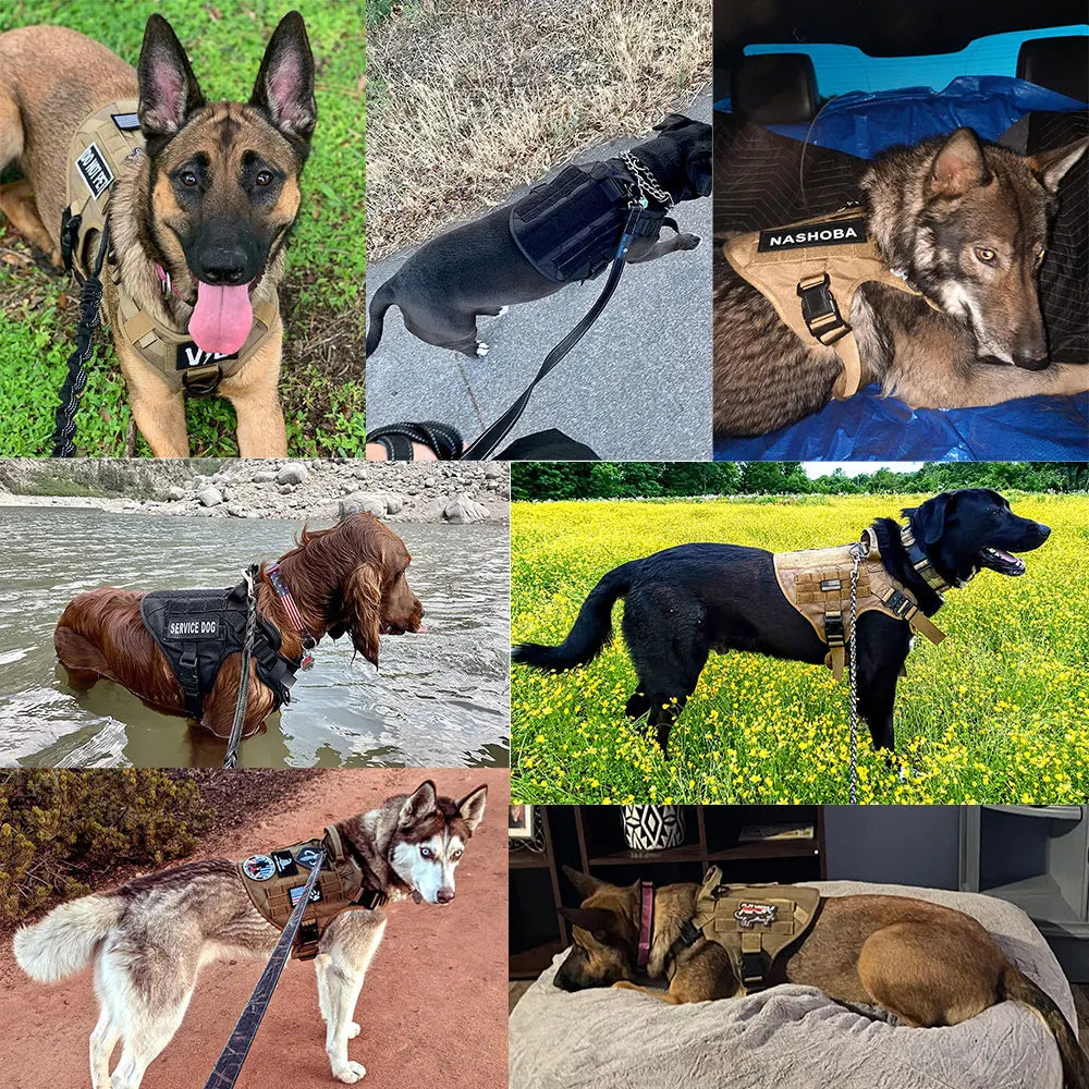 The Perfect Fit for Your German Shepherd or Malinois – Harness Set with Molle Pouches!