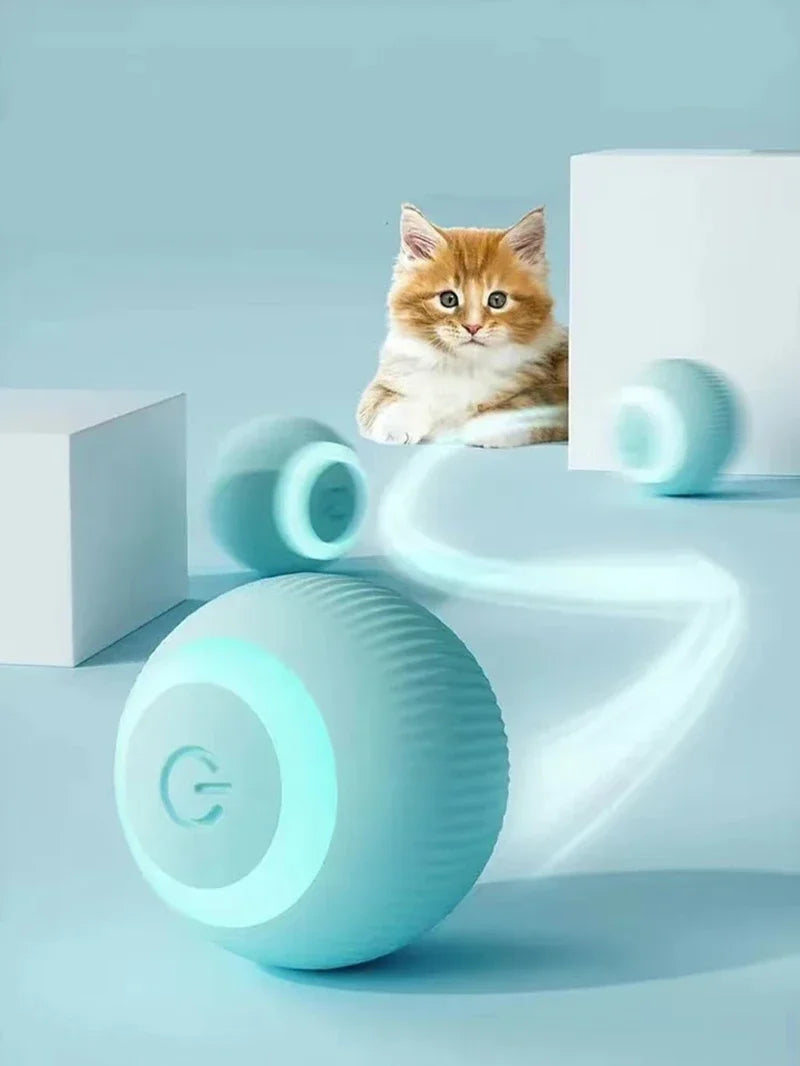 Smart & Interactive Pet Toys