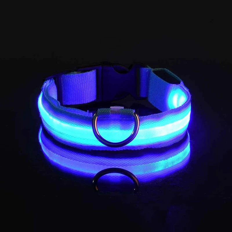 "Rechargeable LED Dog Collar