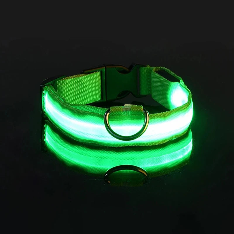 "Rechargeable LED Dog Collar