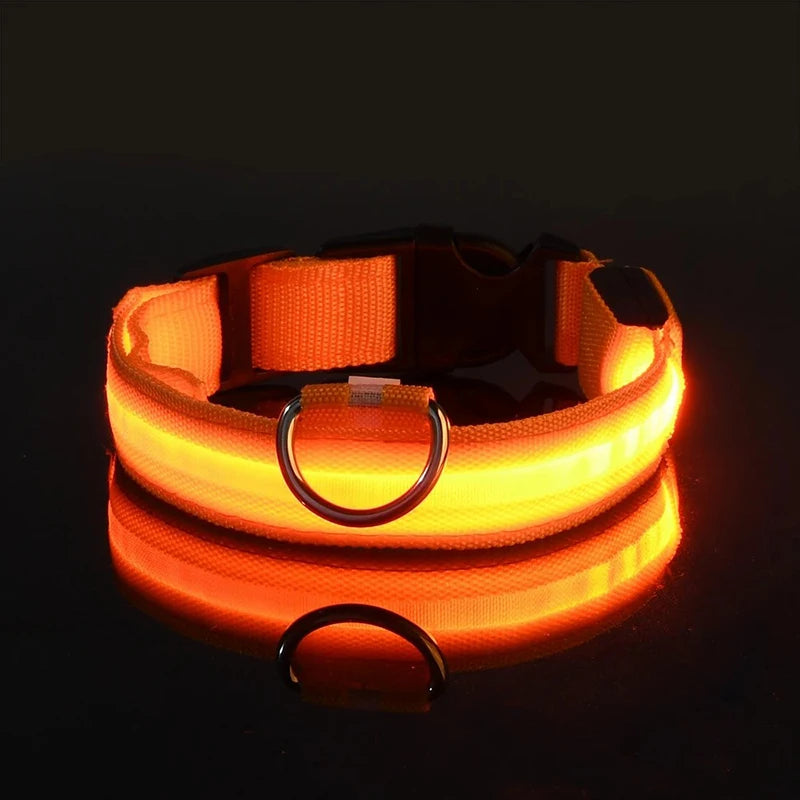 "Rechargeable LED Dog Collar