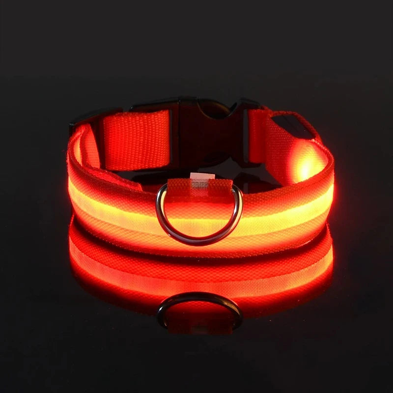 "Rechargeable LED Dog Collar