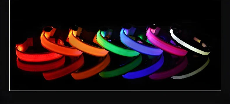 "Rechargeable LED Dog Collar