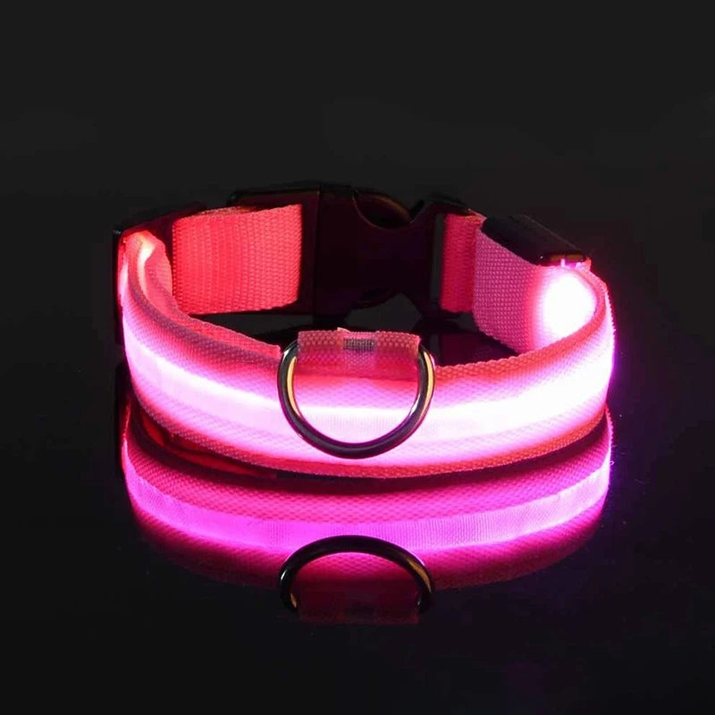 "Rechargeable LED Dog Collar