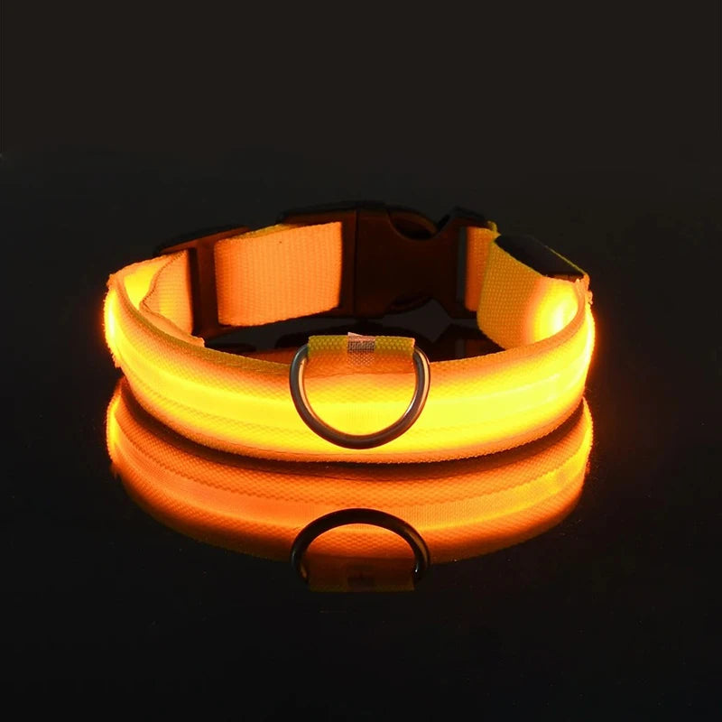 "Rechargeable LED Dog Collar