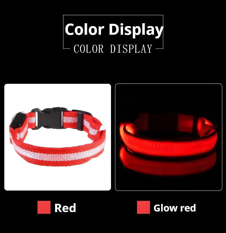 "Rechargeable LED Dog Collar