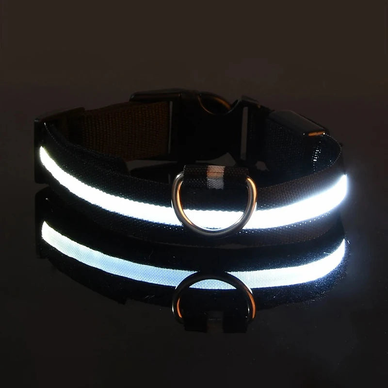 "Rechargeable LED Dog Collar